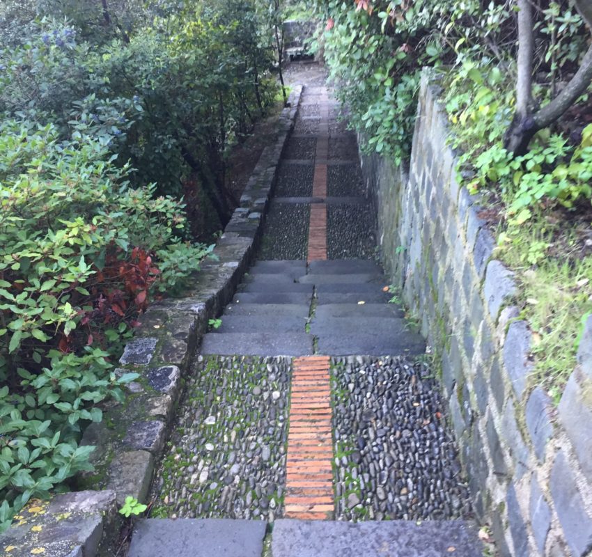 5AEA3C48-68E9-4077-98B2-66EBEFC20FAA