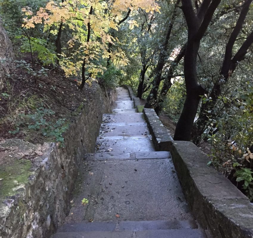 67C66F46-7FF5-43A6-9A82-882FF532FF06