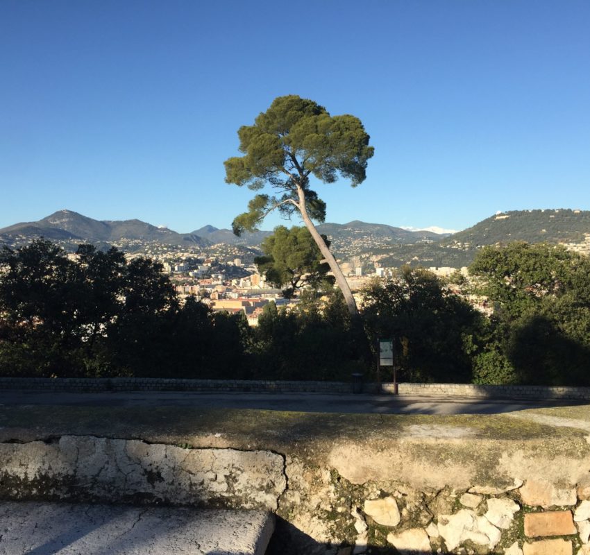 FF5A39E9-2D89-4043-A66C-901B844F9934